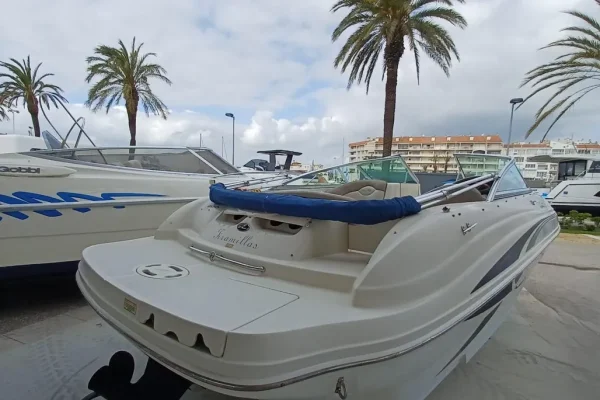 Sea Ray 200 Sundeck - Image 11