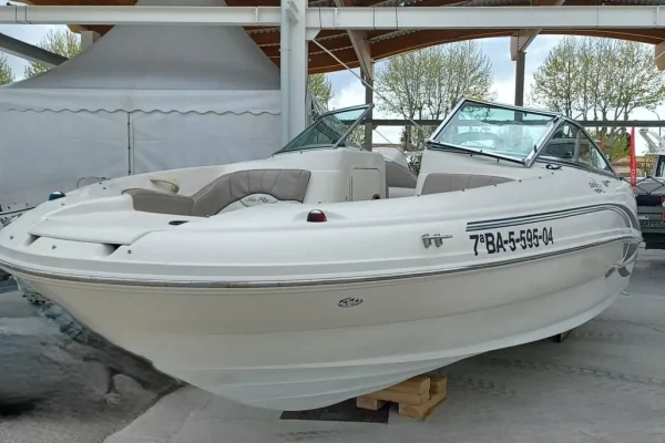 Sea Ray 200 Sundeck
