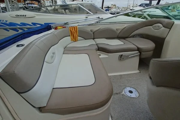 Sea Ray 200 Sundeck - Image 8