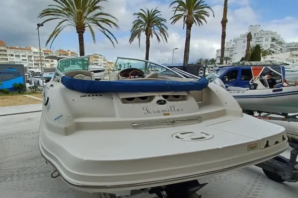 Sea Ray 200 Sundeck - Image 12