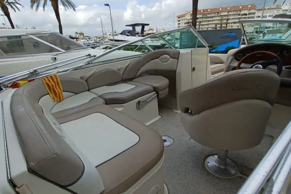 Sea Ray 200 Sundeck - Image 9