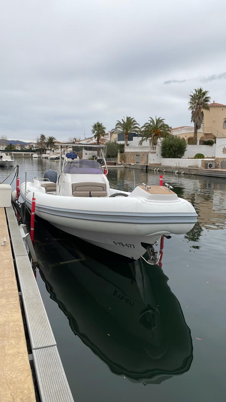 WhatsApp Image 2026-01-29 at 11.52