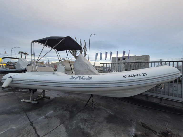 WhatsApp Image 2026-02-13 at 15.28