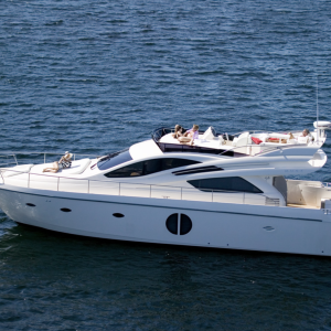 Rodman Muse 54