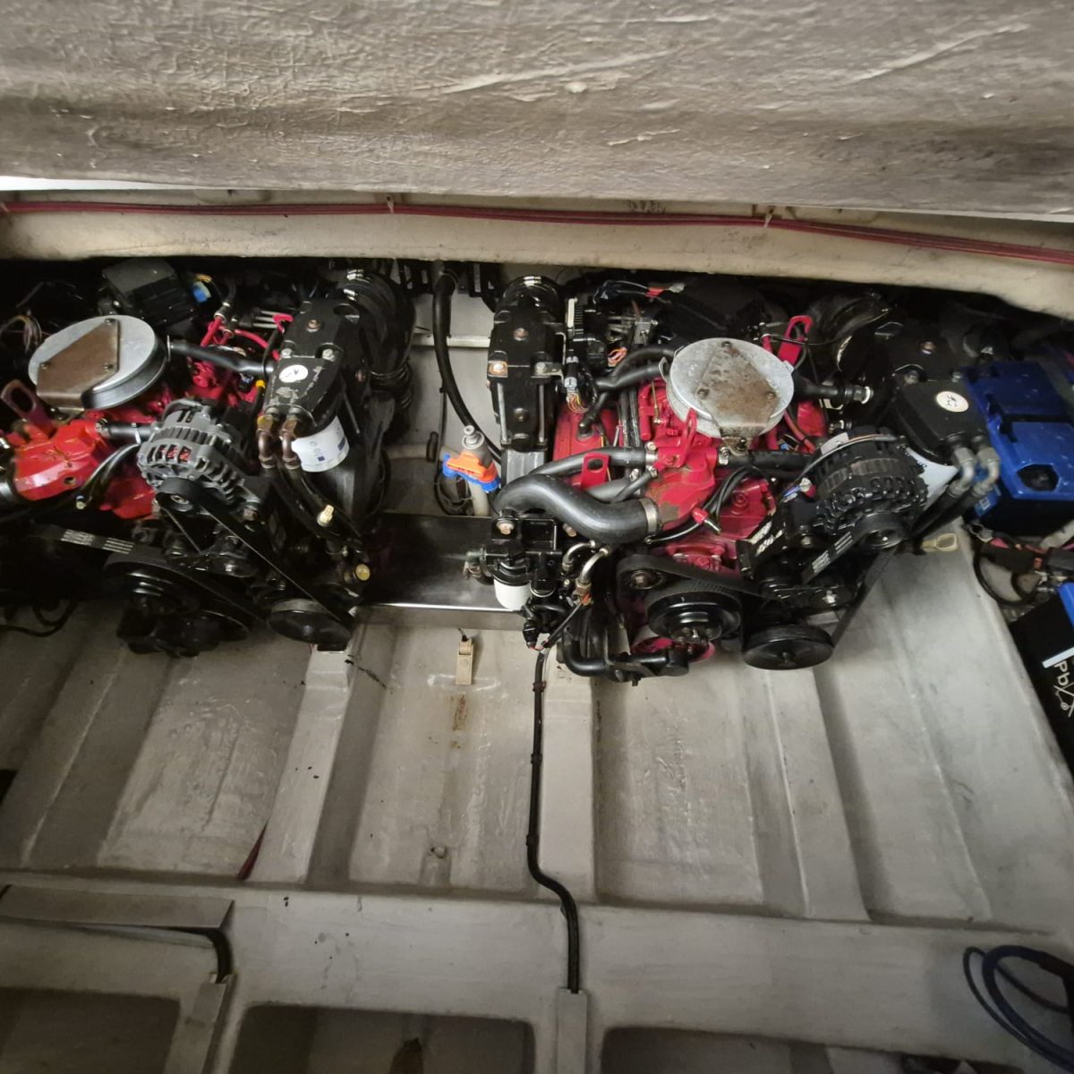 WhatsApp Image 2026-02-24 at 16.40.25 (1)